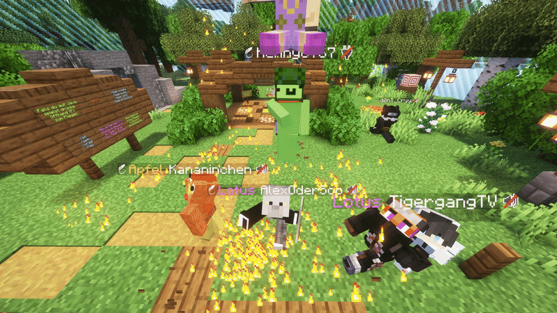 Minecraft Community Aktivitäten